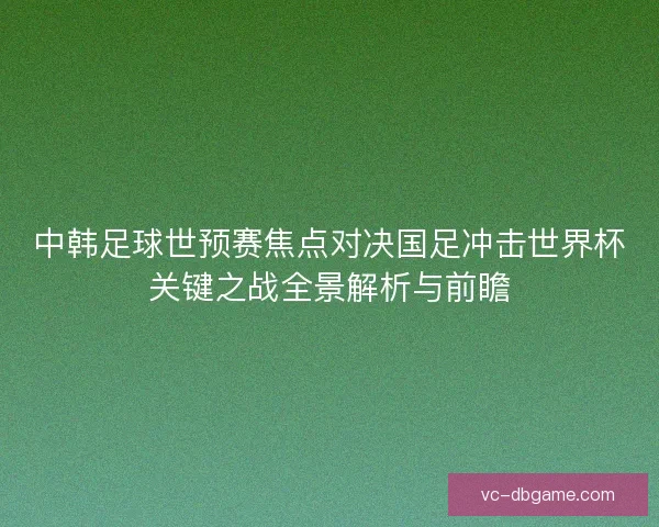 中韩足球世预赛焦点对决国足冲击世界杯关键之战全景解析与前瞻